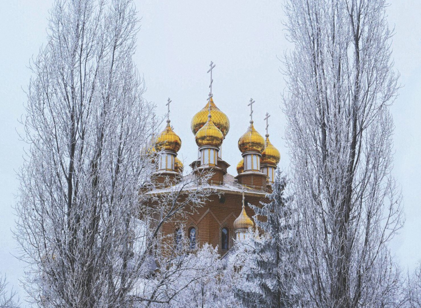 1LP-dKTxgLUy-копия-2.jpg
